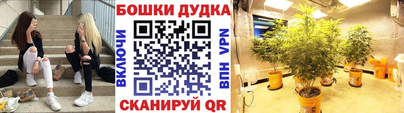 Марихуана Amnesia  Краснозаводск 